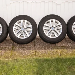 Vinterdäck på fälg Expressleverans
