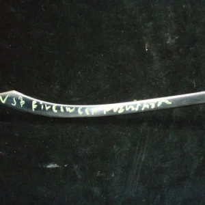 1957 Desoto Firesweep krom vänster Beställ nu