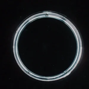 1964 Ford Galaxie lampsarg bak Rea