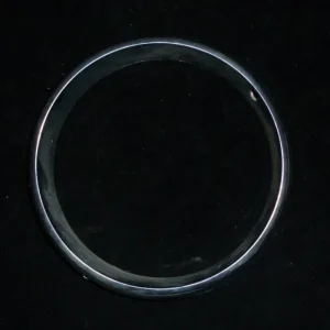 1967 Chrysler 300 lampsarg yttre vänster Endast denna vecka