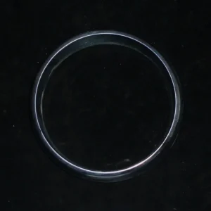 1967 Chrysler 300 lampsarg yttre höger Kampanjpris