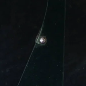 1960 Desoto ventilationsruta enhet glas HÖGER Populär