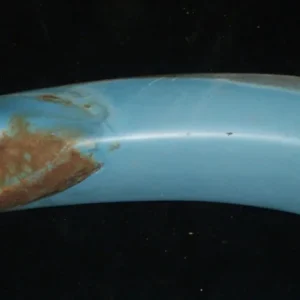 1960 Buick Electra skärmförlängare bak höger Fri frakt