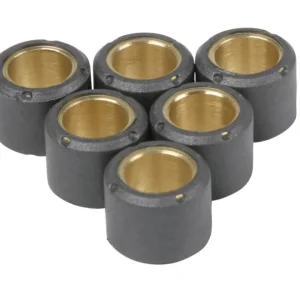 Viktset &Oslash;15x12mm, 5,5 gram, G-10 Begränsat antal